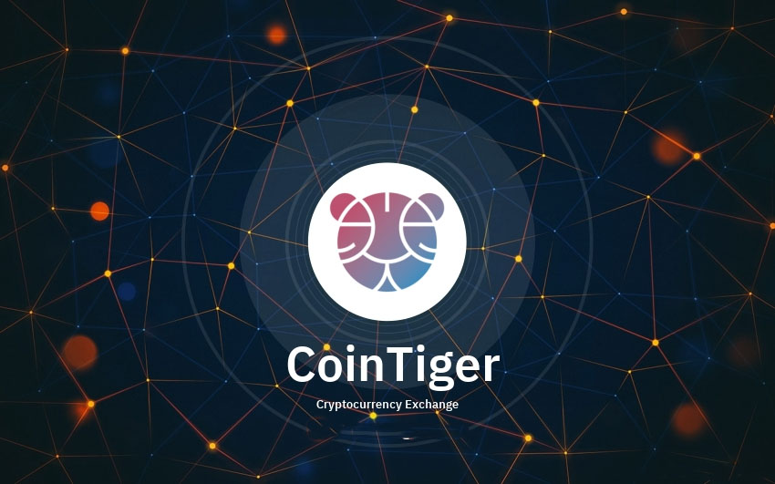 Buy Verified Coin Tiger Account