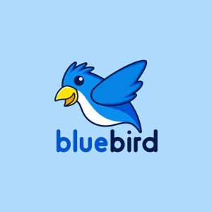 Buy Bluebird Account